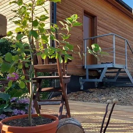 Ferienhaeuser Holiday home Seiffen