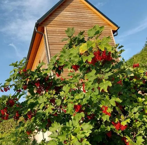 Ferienhaeuser * سيفن